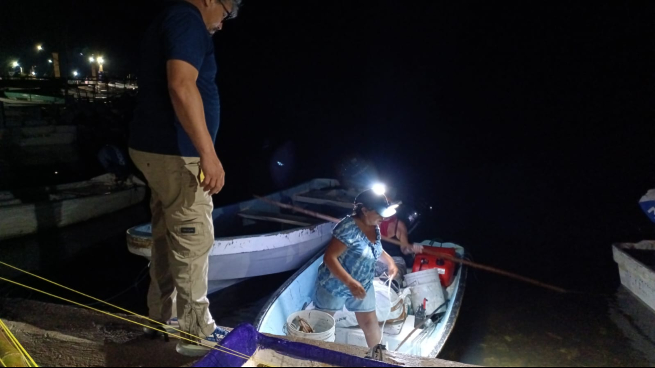 Se presume que las responsables también habrían tenido en su poder ejemplares de cacerolita de mar, especie en peligro de extinción Se presume que las responsables también habrían tenido en su poder ejemplares de cacerolita de mar, especie en peligro de extinción
