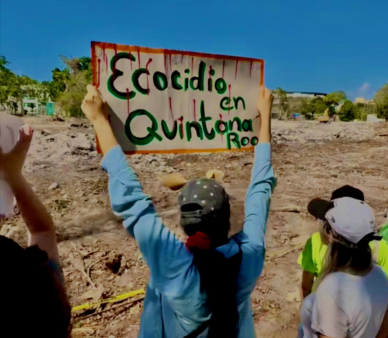 El resolutivo inicial establecía de un programa de reubicación de fauna silvestre, requisito que no fue cumplido por los responsables del proyecto