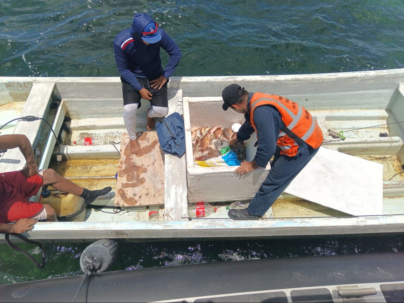 Elementos de la Marina, Conapesca y SSP dan golpes a actividades furtivas en costas de Yucatán