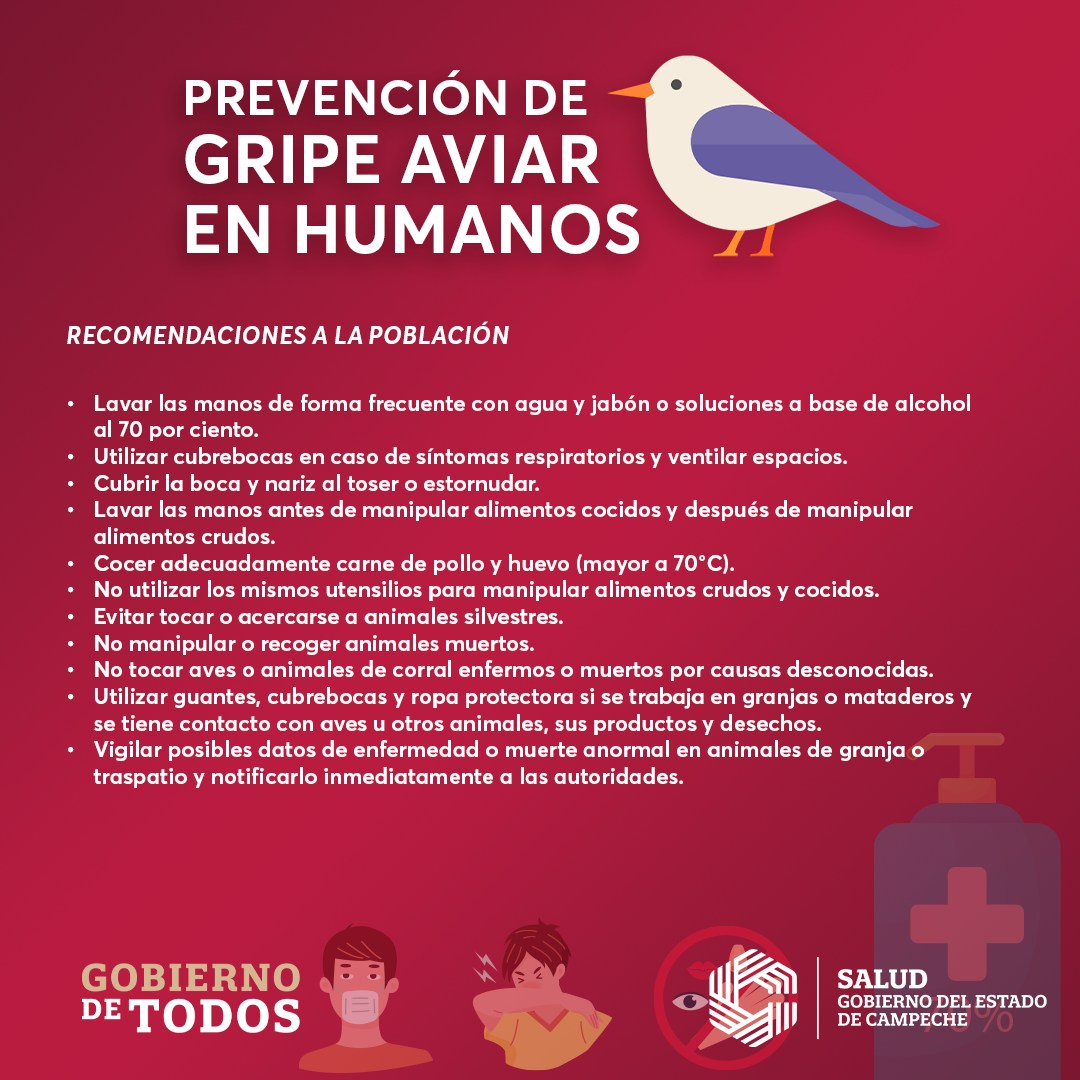 Medidas: higiene, cocción adecuada de carne y huevo, evitar contacto con aves enfermas.