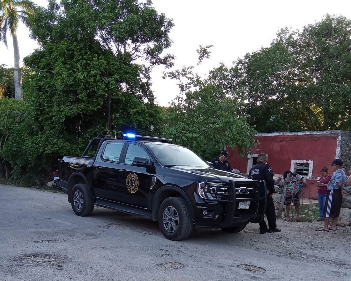 Al menos dos perros y un gato son víctimas de crueldad en la colonia Edesio Carrillo Puerto