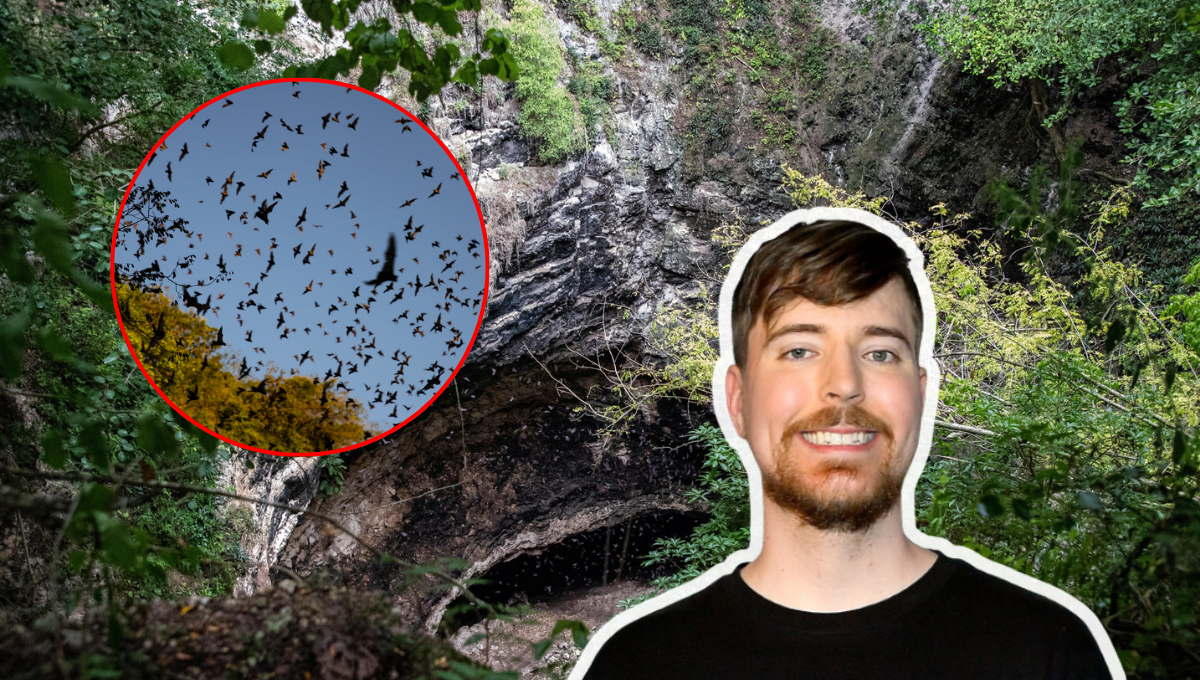Dentro del Volcán de los Murciélagos en Campeche; el sitio prohibido que Mr. Beast no pudo visitar