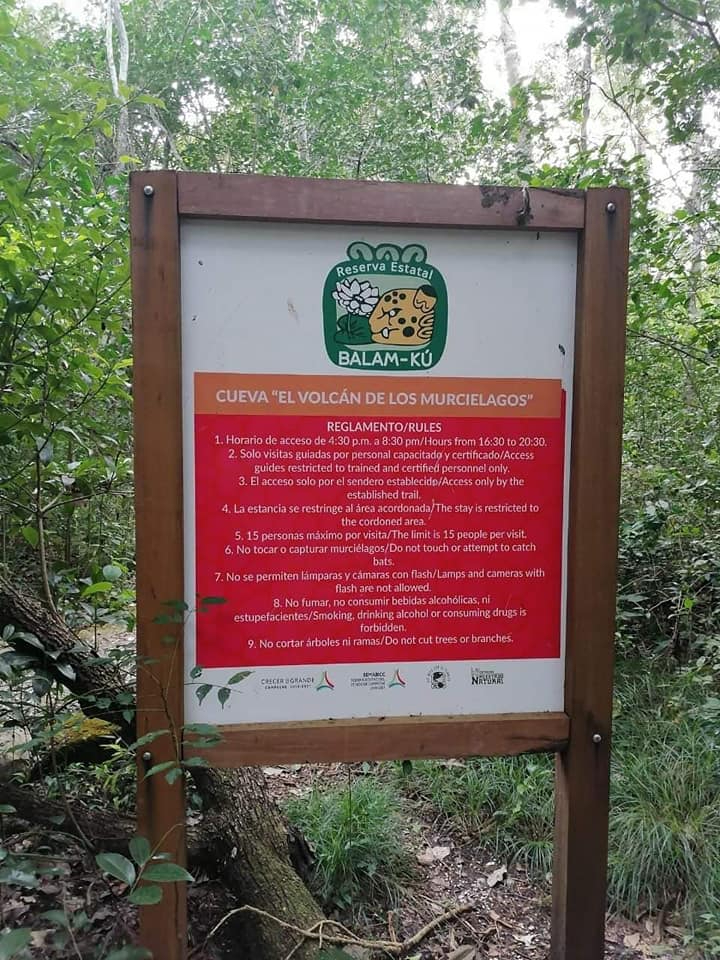 El sitio se ubica a 8 km del poblado de Conhuás y forma parte de la mayor selva tropical protegida de México.
