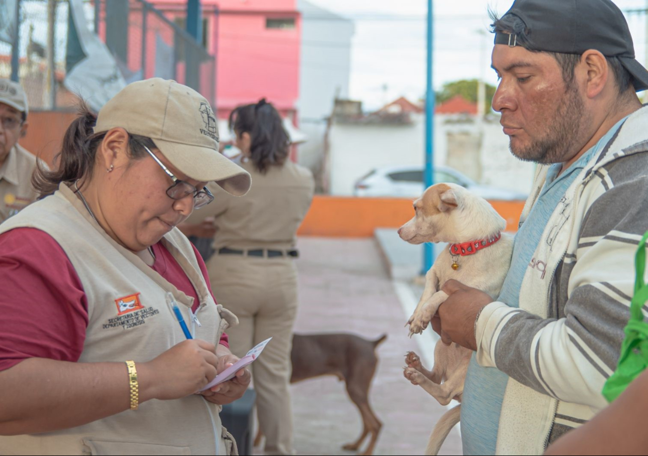 La vacuna es gratuita para perros y gatos.