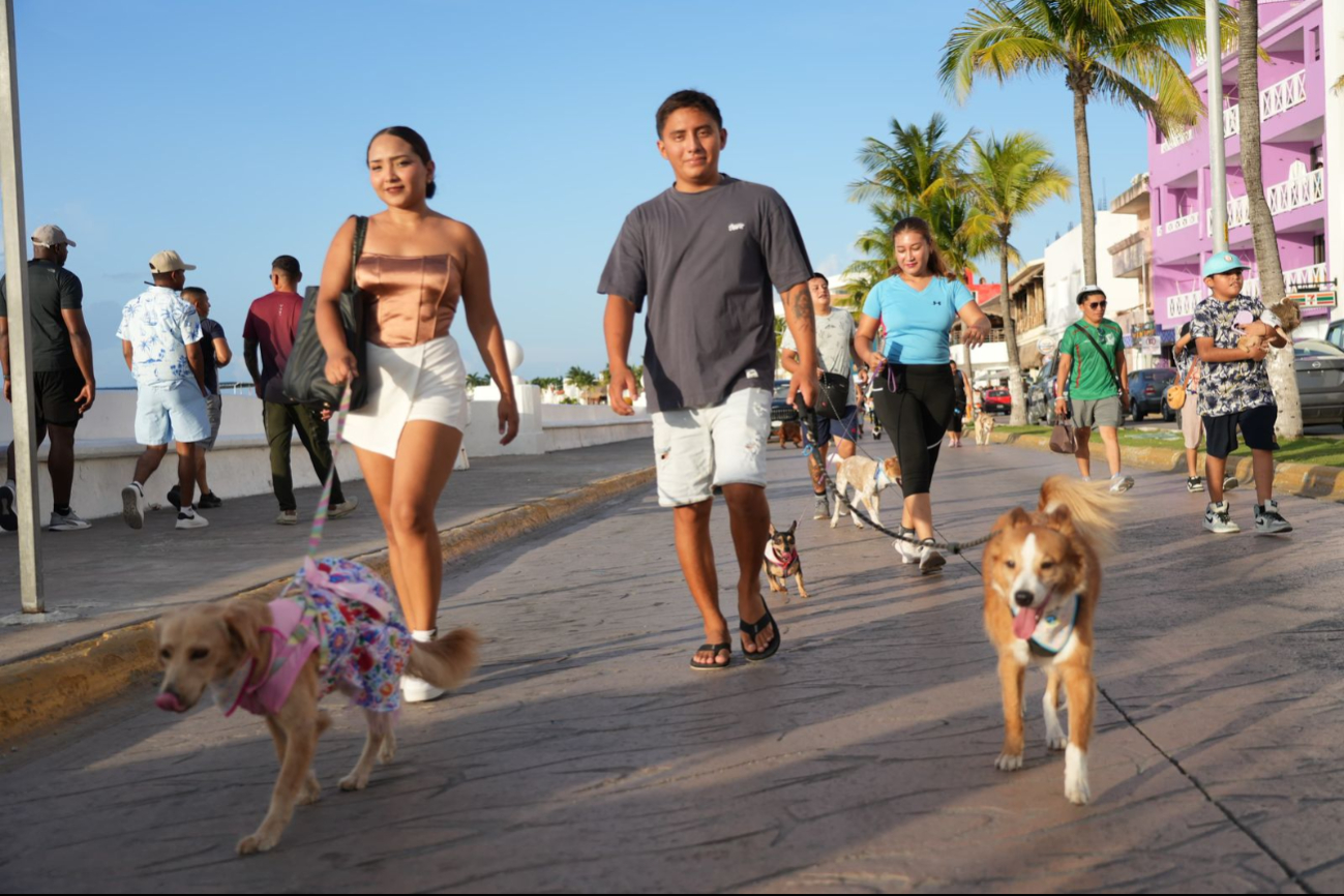 Lo recaudado en el evento será destinado a gastos veterinarios, esterilizaciones y comida