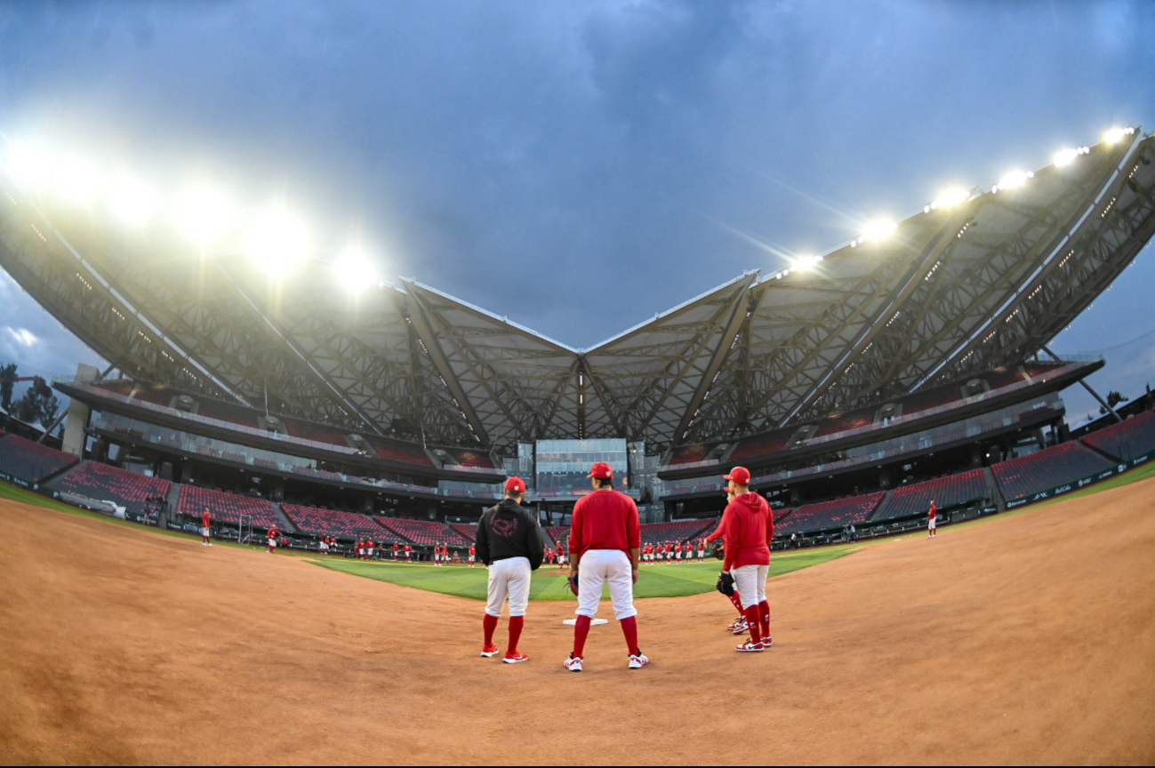 El estadio de los Diablos Rojos del México vivió un lamentable hecho para un aficionado. El estadio de los Diablos Rojos del México vivió un lamentable hecho para un aficionado.