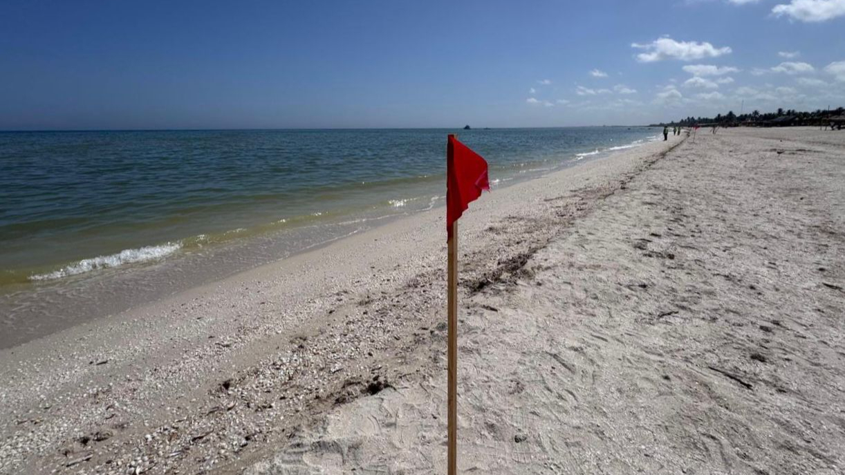 El polígono restrictivo para la pesca, se redujo a una franja de 15 kilómetros mar adentro desde Progreso hasta Sisal El polígono restrictivo para la pesca, se redujo a una franja de 15 kilómetros mar adentro desde Progreso hasta Sisal