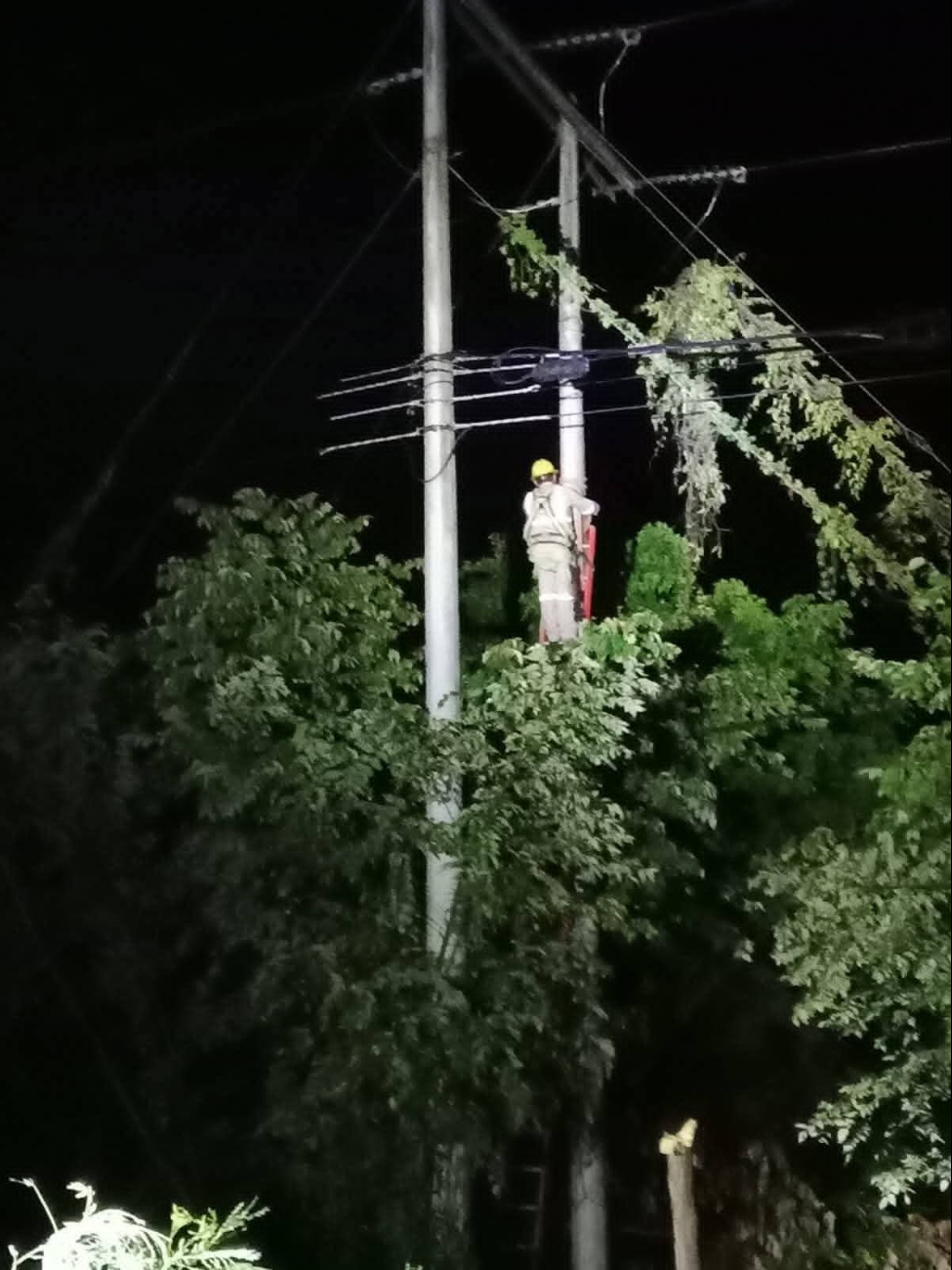 La Comisión Federal de Electricidad (CFE) realizó correcciones e instaló nuevamente los cables afectados. La Comisión Federal de Electricidad (CFE) realizó correcciones e instaló nuevamente los cables afectados.