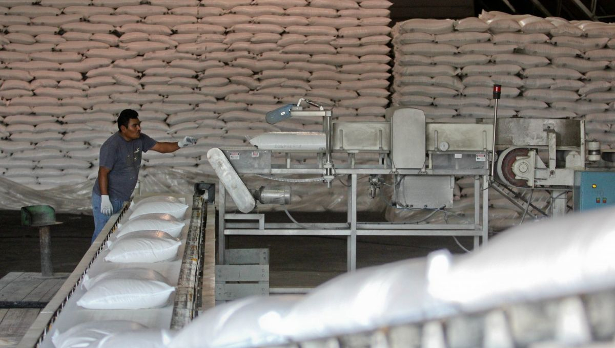 La Secretaría de Economía señaló que mantiene mesas de trabajo con productores y actores de la cadena azucarera La Secretaría de Economía señaló que mantiene mesas de trabajo con productores y actores de la cadena azucarera