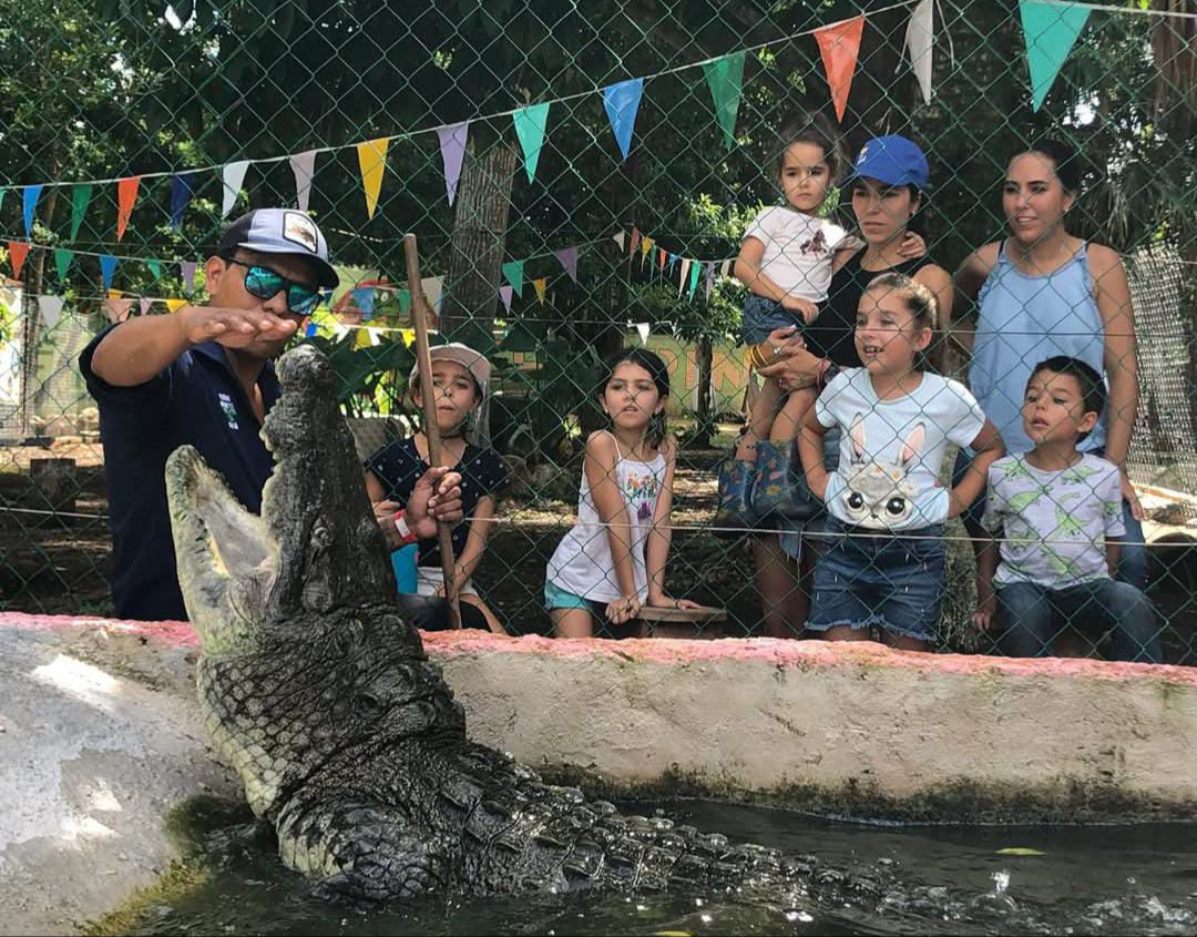 No hay que catalogar a los cocodrilos como monstruos o asesinos, sino como cualquier otro animal. No hay que catalogar a los cocodrilos como monstruos o asesinos, sino como cualquier otro animal.