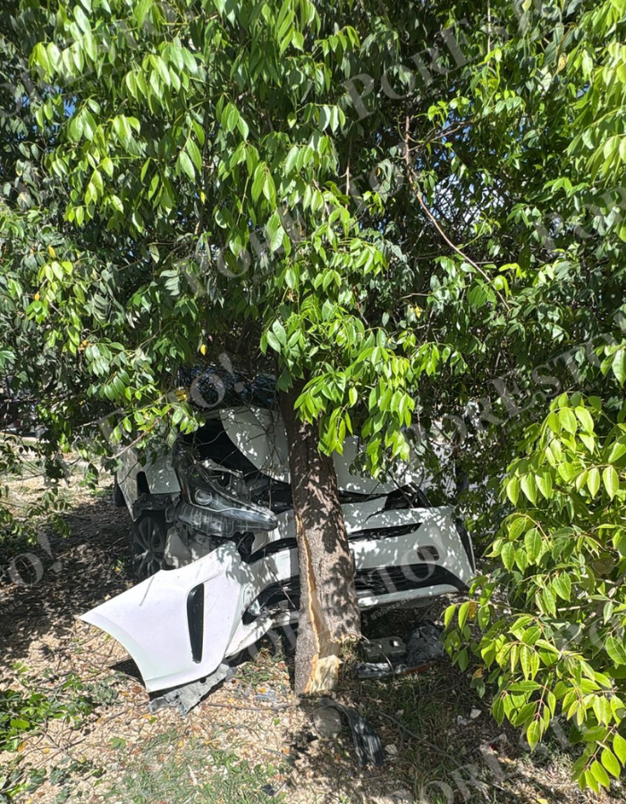 Se cree que el cansancio causó que la conductora se quedara dormida y perdiera el control del vehículo Se cree que el cansancio causó que la conductora se quedara dormida y perdiera el control del vehículo