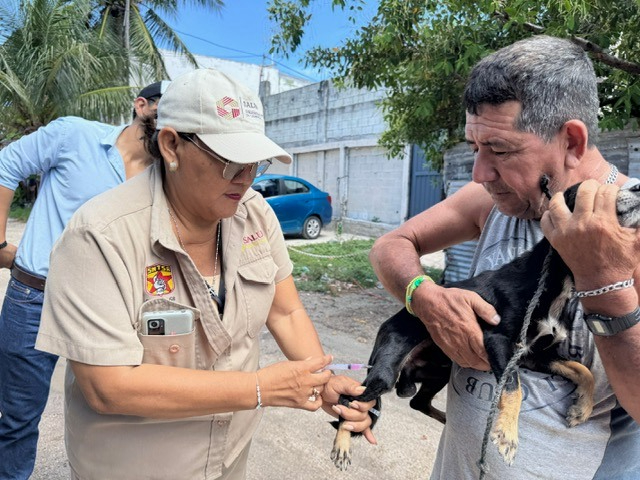 Campeche realiza este 25 de agosto una jornada intensiva de vacunación antirrábica gratuita. Campeche realiza este 25 de agosto una jornada intensiva de vacunación antirrábica gratuita.
