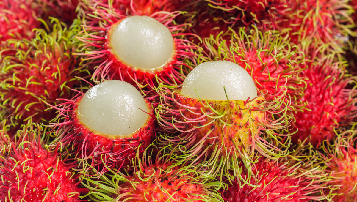 El rambután, fruta asiática de aspecto exótico, se ha vuelto común en los mercados de Campeche.