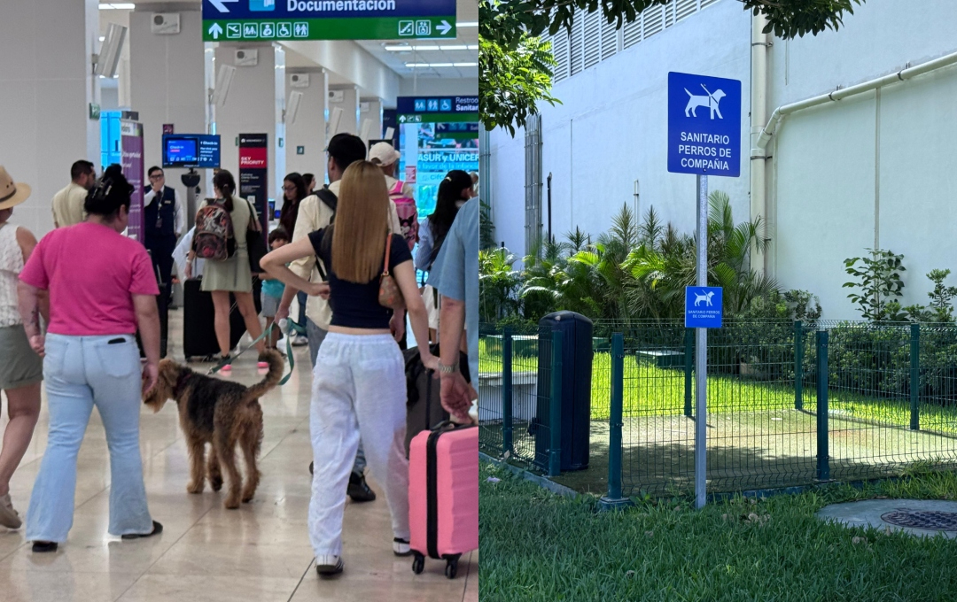 Las autoridades del aeropuerto aseguraron que esta terminal es de las pocas en el país que tiene baños para canes de compañía Las autoridades del aeropuerto aseguraron que esta terminal es de las pocas en el país que tiene baños para canes de compañía