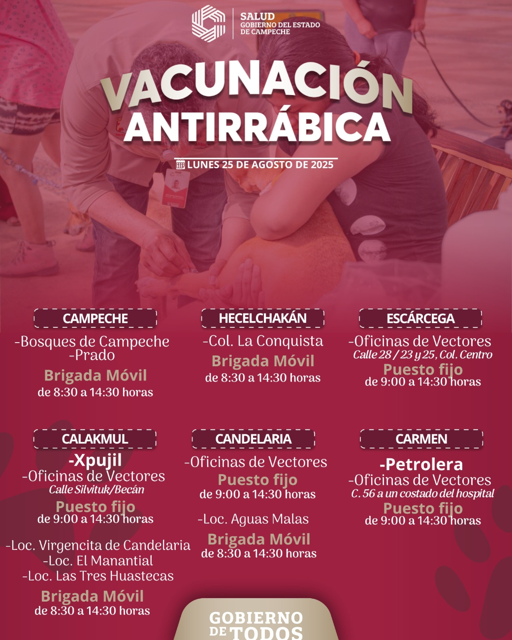 Se busca proteger a perros y gatos para prevenir contagios de rabia en humanos. Se busca proteger a perros y gatos para prevenir contagios de rabia en humanos.