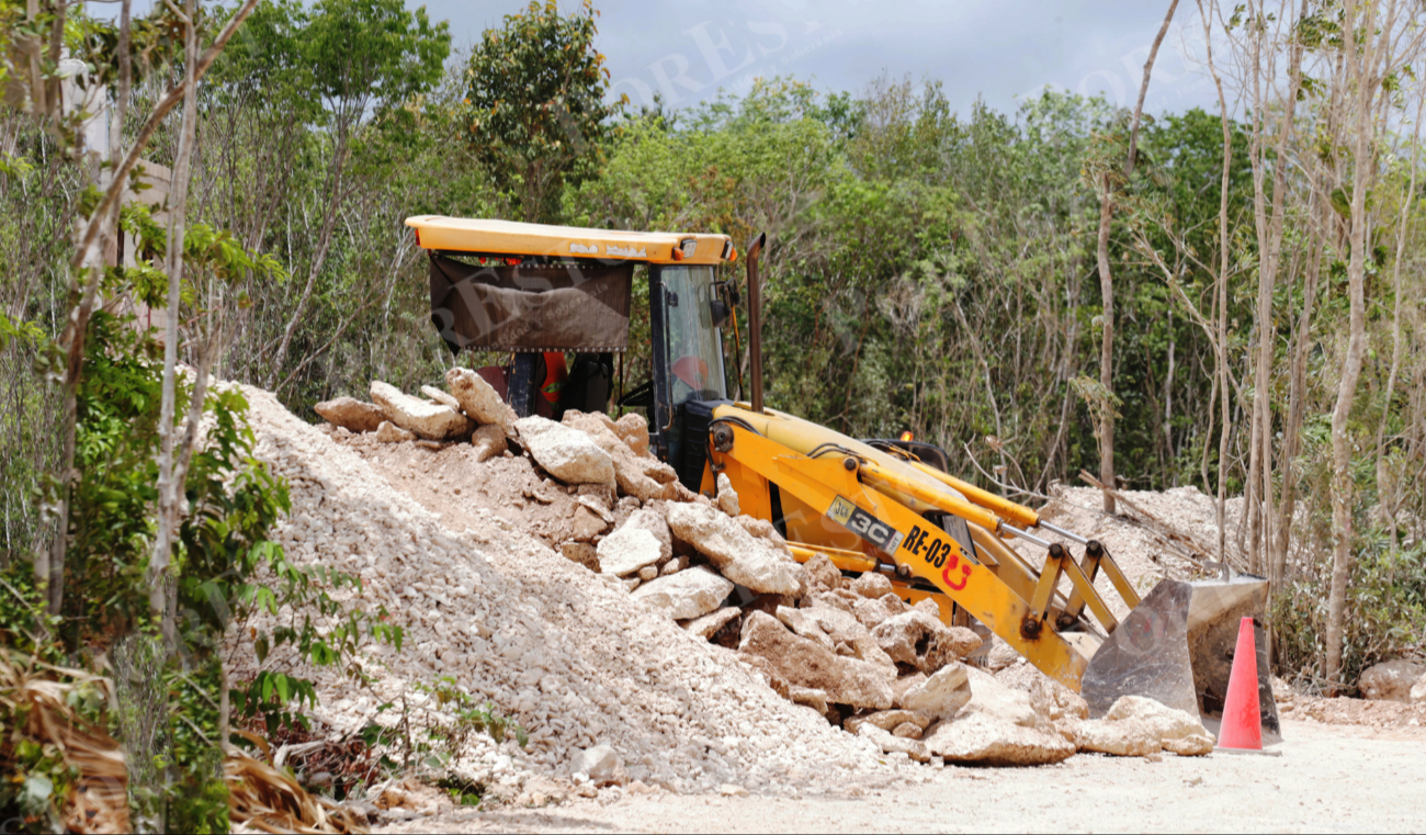 En muchas ocasiones, las constructoras llegan y devastan con maquinaria pesada o quemas, antes de siquiera tener la Manifestación de Impacto Ambiental En muchas ocasiones, las constructoras llegan y devastan con maquinaria pesada o quemas, antes de siquiera tener la Manifestación de Impacto Ambiental