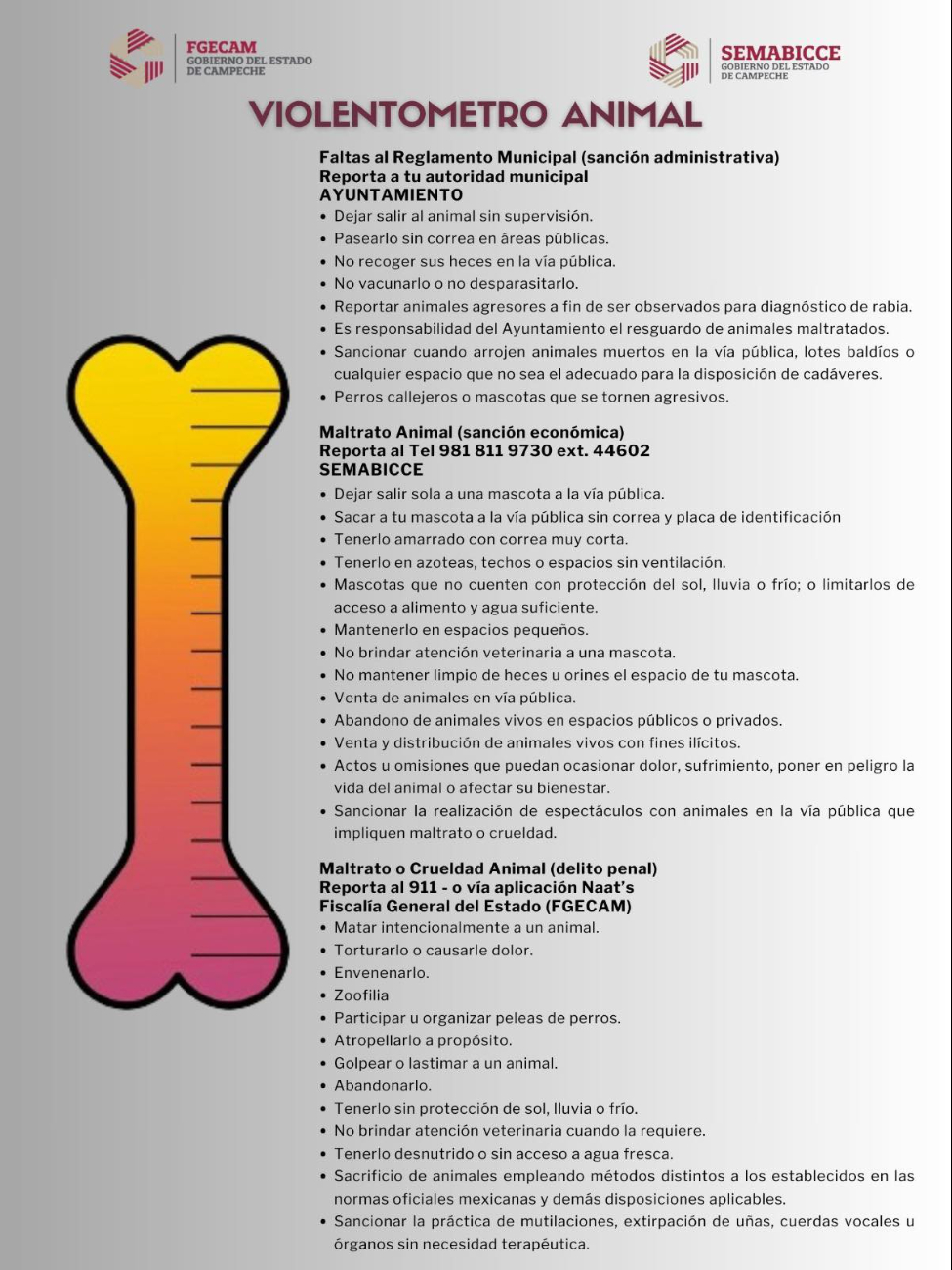 Herramienta clasifica agresiones en tres niveles: administrativo, económico y penal. Herramienta clasifica agresiones en tres niveles: administrativo, económico y penal.