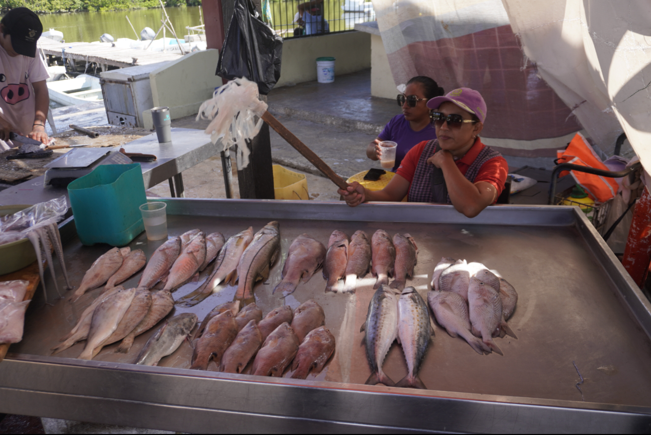 Los alimentos marinos provienen de los mares locales Los alimentos marinos provienen de los mares locales