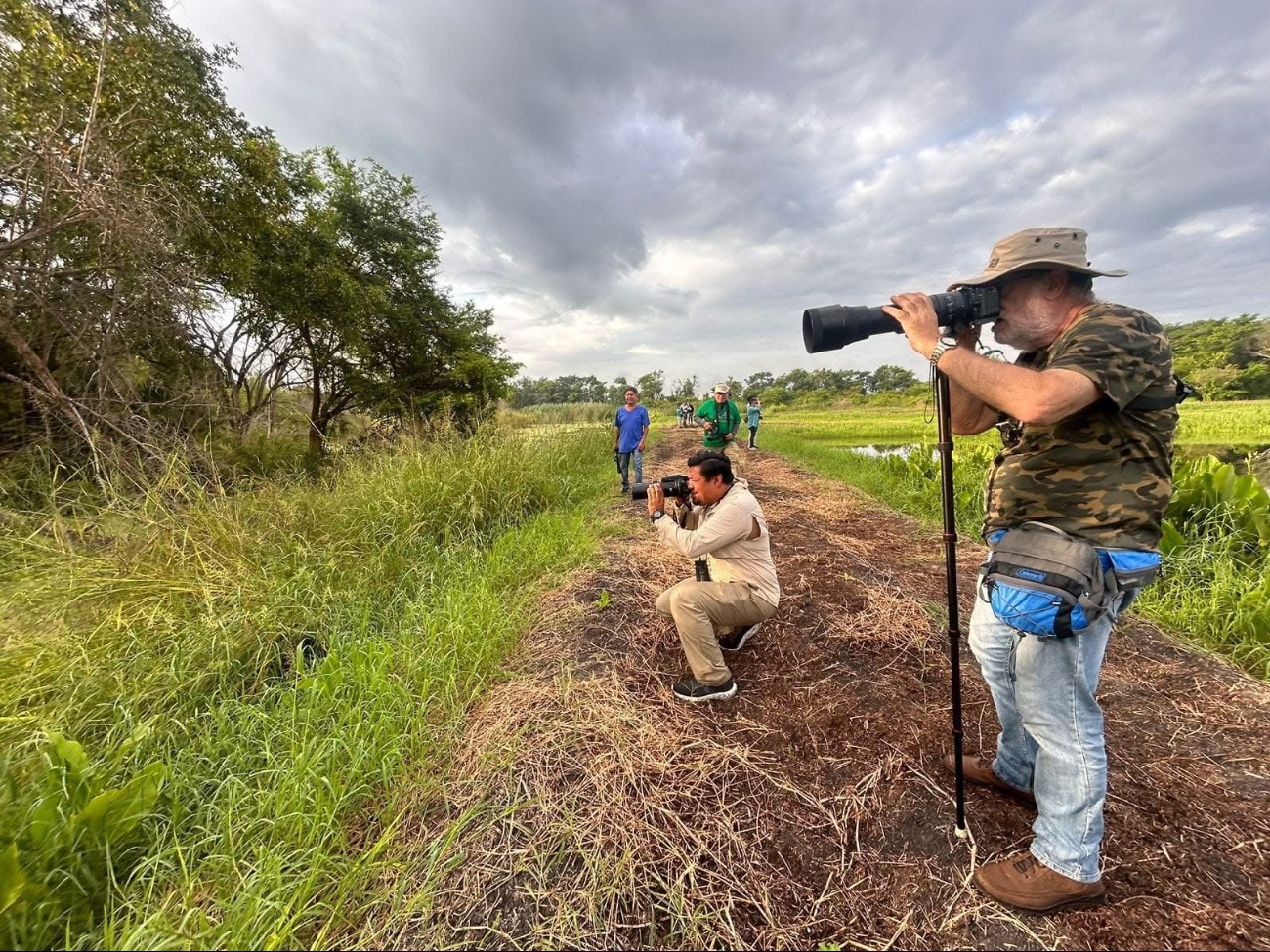 Campeche posee un hábital privilegiado al contar con 496 especies, 128 de ellas migratorias Campeche posee un hábital privilegiado al contar con 496 especies, 128 de ellas migratorias