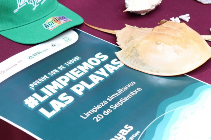 Convocan a limpieza simultánea de la costa yucateca Convocan a limpieza simultánea de la costa yucateca