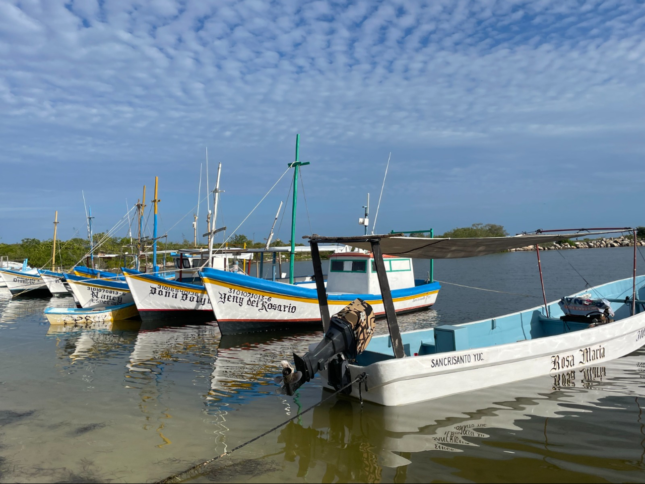 El Comité de seguimiento decreta bandera verde de Progreso hacia el Oriente