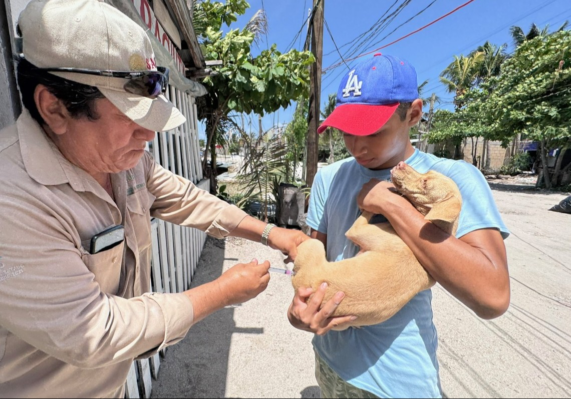 Este miércoles 27 de agosto, el Gobierno de Campeche y la Secretaría de Salud realizarán una jornada intensiva de vacunación antirrábica gratuita