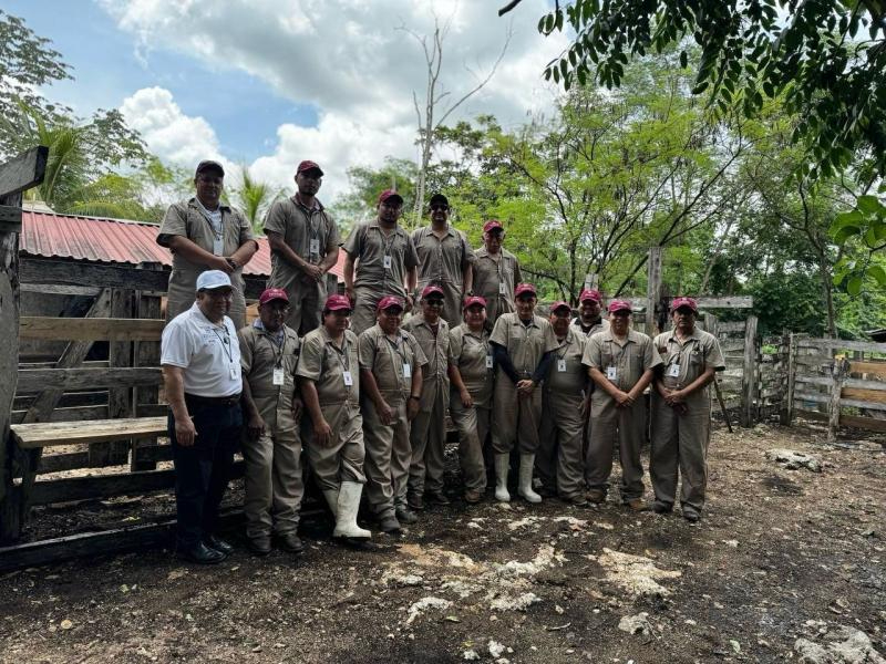 Gobierno del Estado intensifica control del gusano barrenador en Yucatán