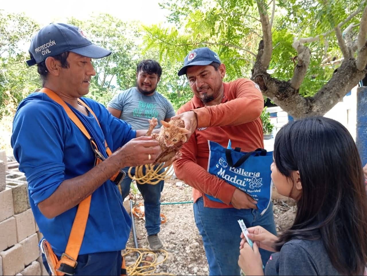 Bizcocho fue entregado sano y salvo a su dueña Bizcocho fue entregado sano y salvo a su dueña
