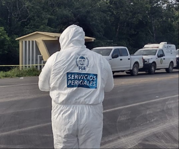 Encuentran dos cuerpos en descomposición en Quintana Roo Encuentran dos cuerpos en descomposición en Quintana Roo