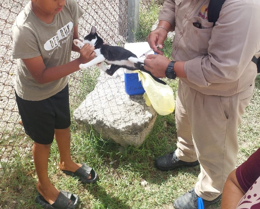 Jornada intensiva de vacunación antirrábica gratuita este jueves en Campeche. Jornada intensiva de vacunación antirrábica gratuita este jueves en Campeche.