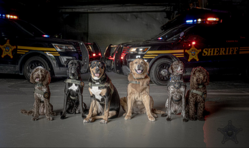 La unidad K-9 y el programa de entrenamiento son muy reconocidos. La unidad K-9 y el programa de entrenamiento son muy reconocidos.