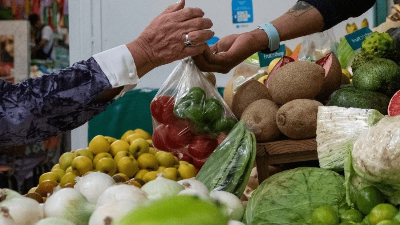 Trabajadores de Chetumal no logran cubrir la canasta básica Trabajadores de Chetumal no logran cubrir la canasta básica