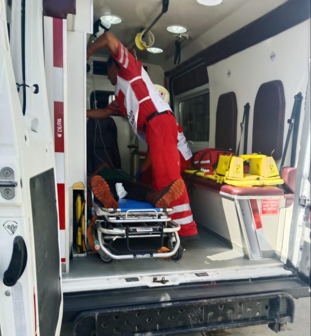 Ataque de abejas en ranchería de Champotón deja a un hombre al borde de la muerte Ataque de abejas en ranchería de Champotón deja a un hombre al borde de la muerte