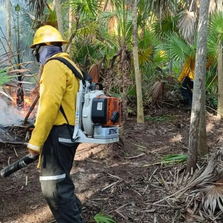 Las autoridades no han dado a conocer las causas que desataron este desastre natural Las autoridades no han dado a conocer las causas que desataron este desastre natural