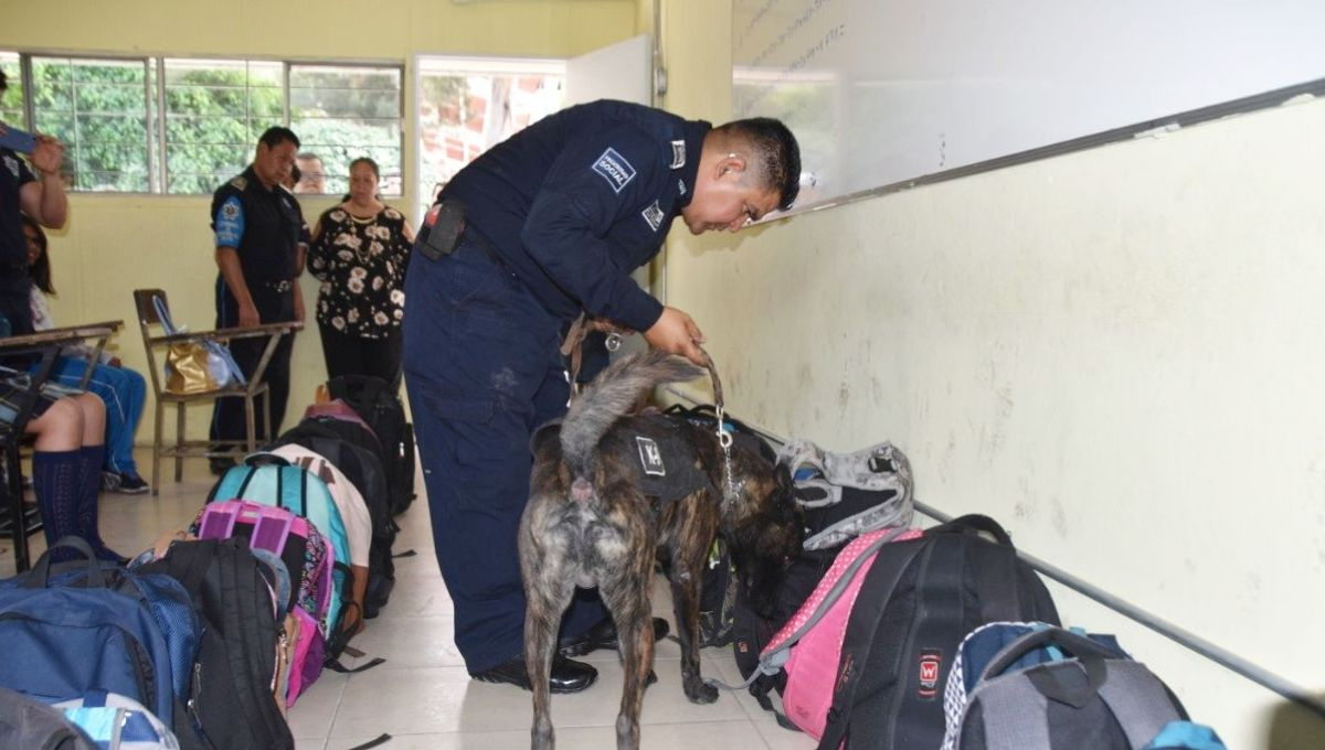 Padres de familia solicitan operativo mochila durante regreso a clases Padres de familia solicitan operativo mochila durante regreso a clases
