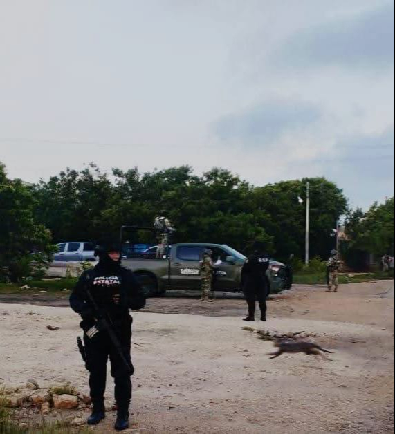 Autoridades federales cumplen órdenes de cateo en busca de enervantes, en Dzilam de Bravo