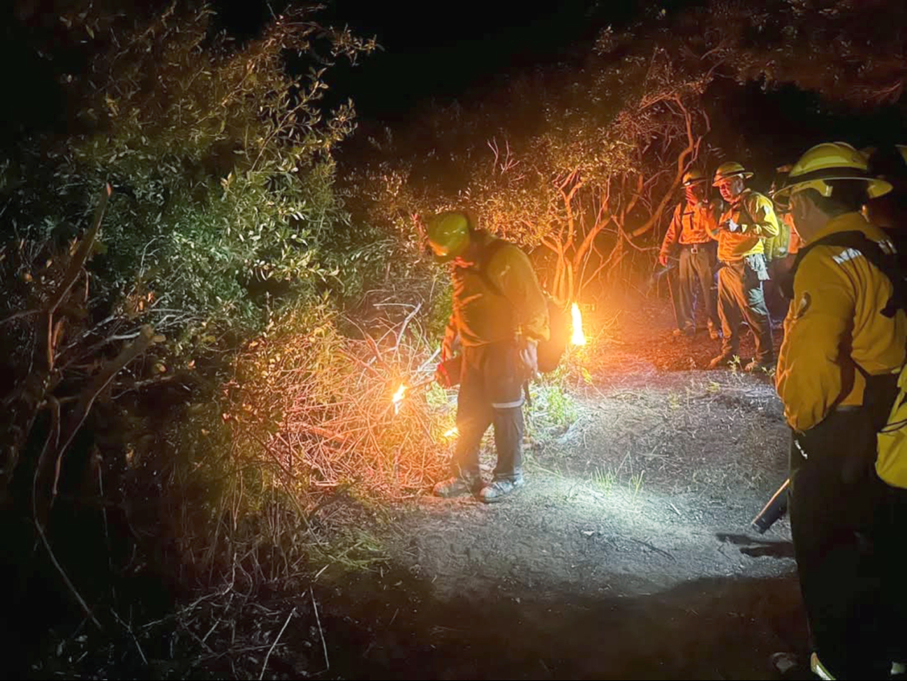 Lamenta la población, los daños registrados a la biodiversidad. Lamenta la población, los daños registrados a la biodiversidad.
