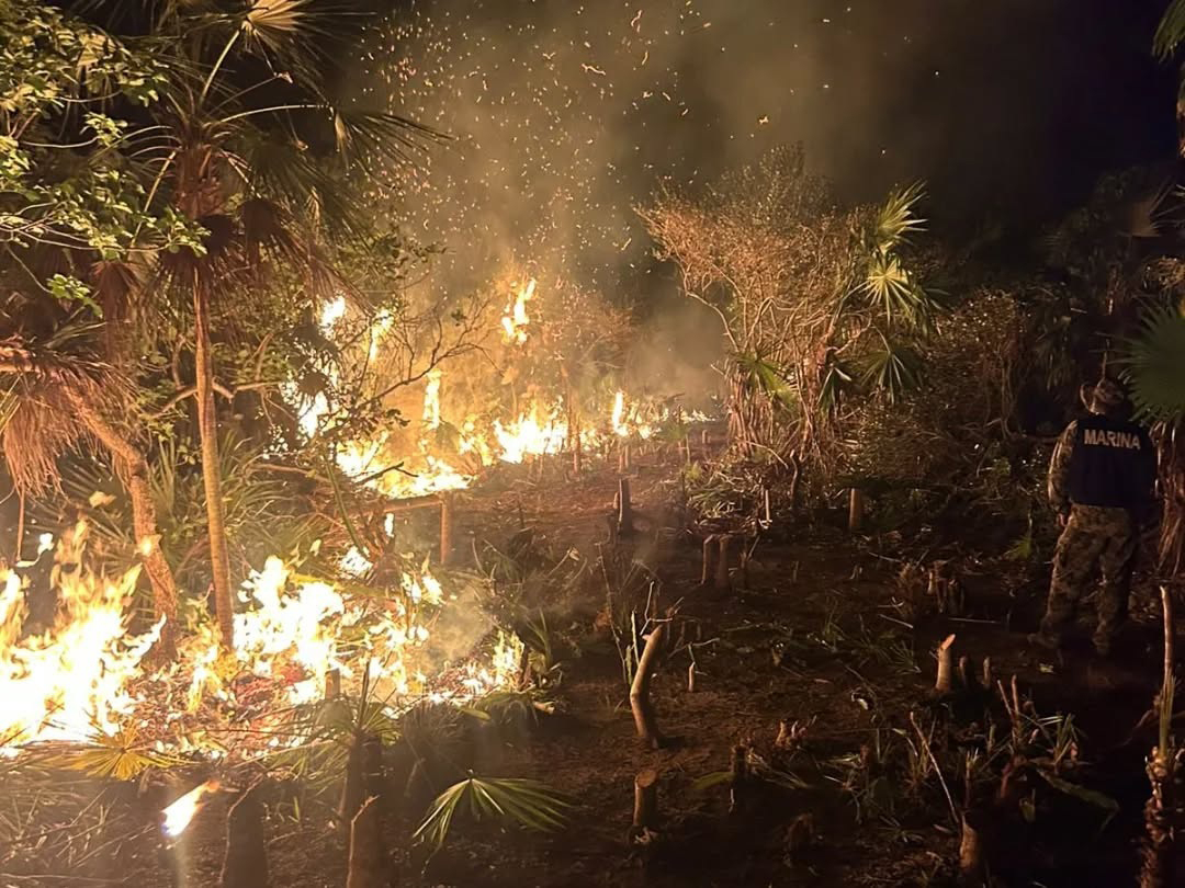 Lamentan pobladores que, hasta el momento, el Gobierno no ha informado qué origino la ignición en La Ensenada. Lamentan pobladores que, hasta el momento, el Gobierno no ha informado qué origino la ignición en La Ensenada.