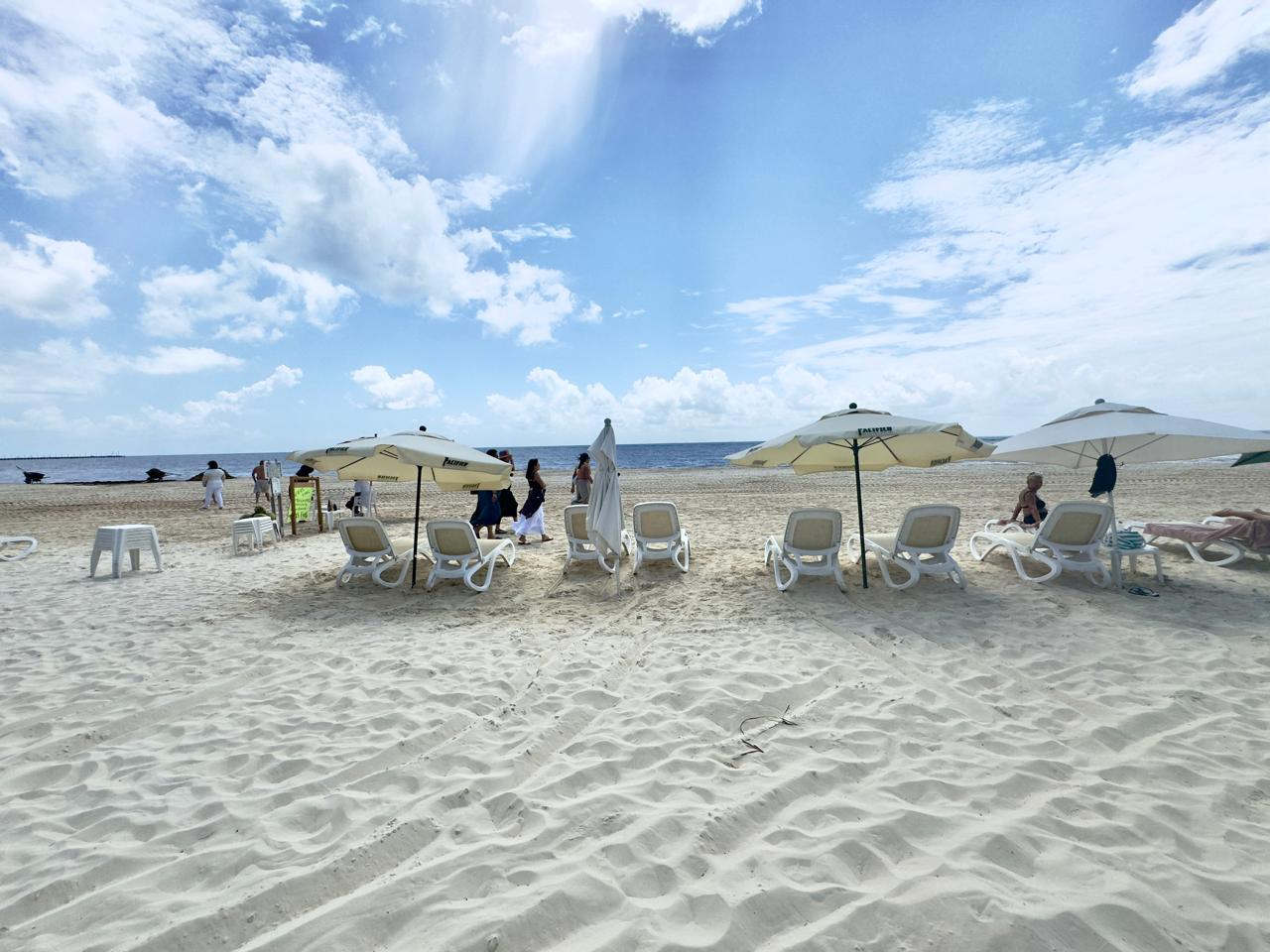 Sigue paralizada la actividad turística, el turismo estadounidense dejó tener presencia en Playa del Carmen. Sigue paralizada la actividad turística, el turismo estadounidense dejó tener presencia en Playa del Carmen.