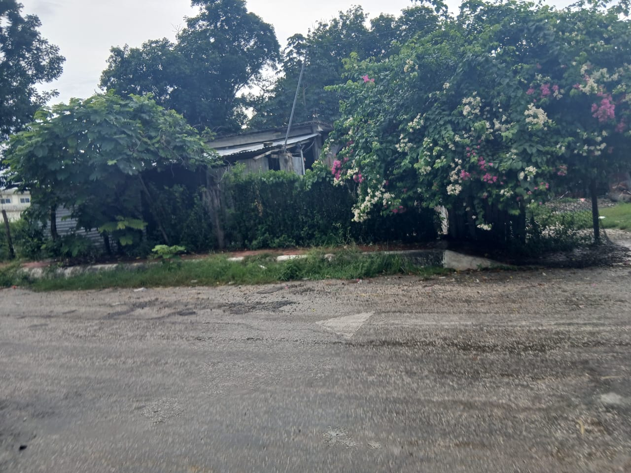Casa es vaciada en la colonia Fátima; delincuentes se llevan hasta al perrito Casa es vaciada en la colonia Fátima; delincuentes se llevan hasta al perrito