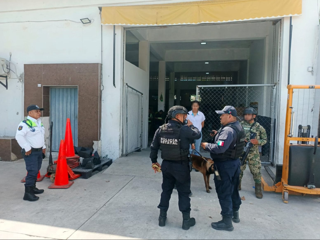 Aseguran posible narcótico en paquetería Aseguran posible narcótico en paquetería