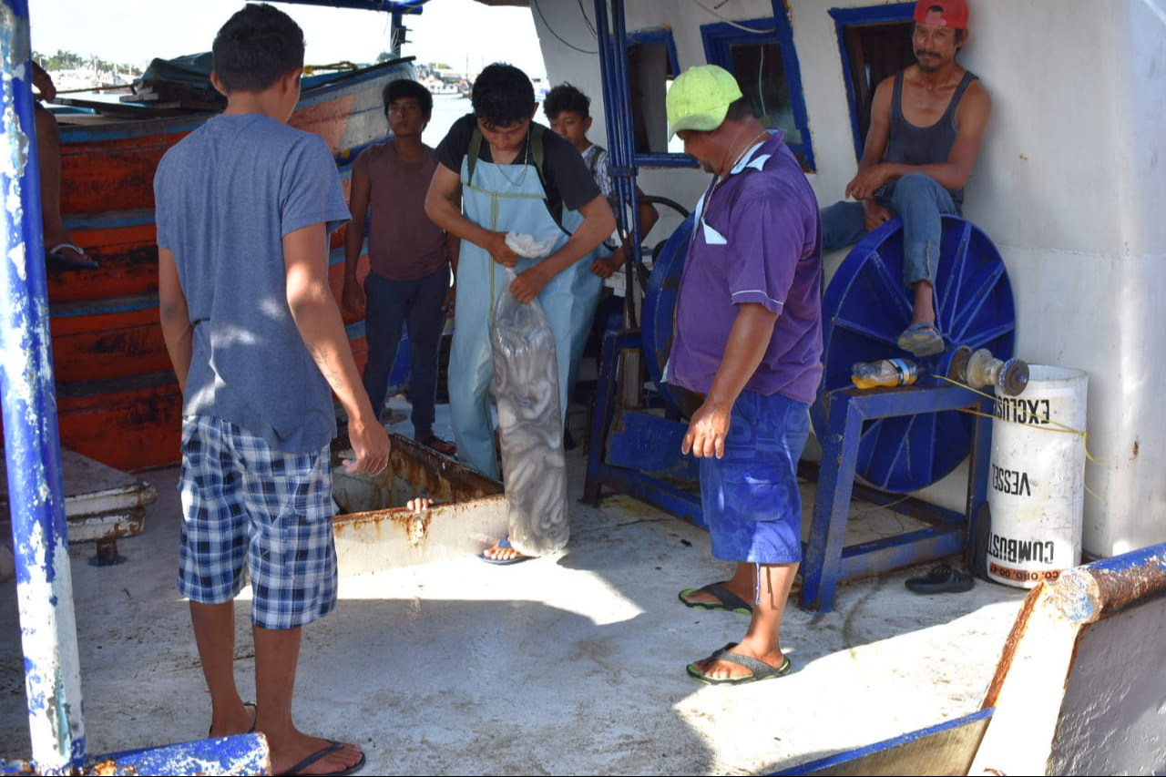 Pescadores han evidenciado a personas que trabajan ilegalmente