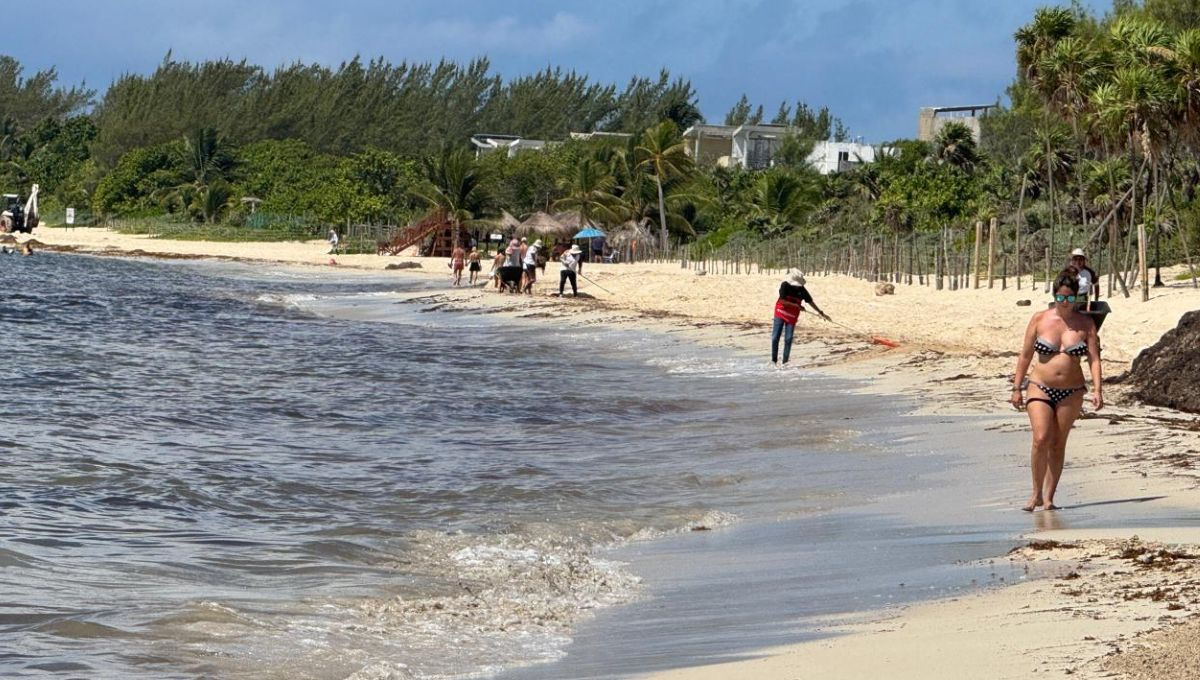 Se desplomó drásticamente la ocupación hotelera en el Caribe mexicano Se desplomó drásticamente la ocupación hotelera en el Caribe mexicano