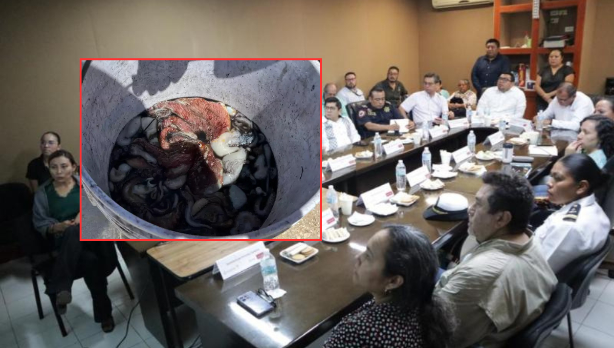 El Gobierno de Yucatán descartó presencia de marea roja en la costa.