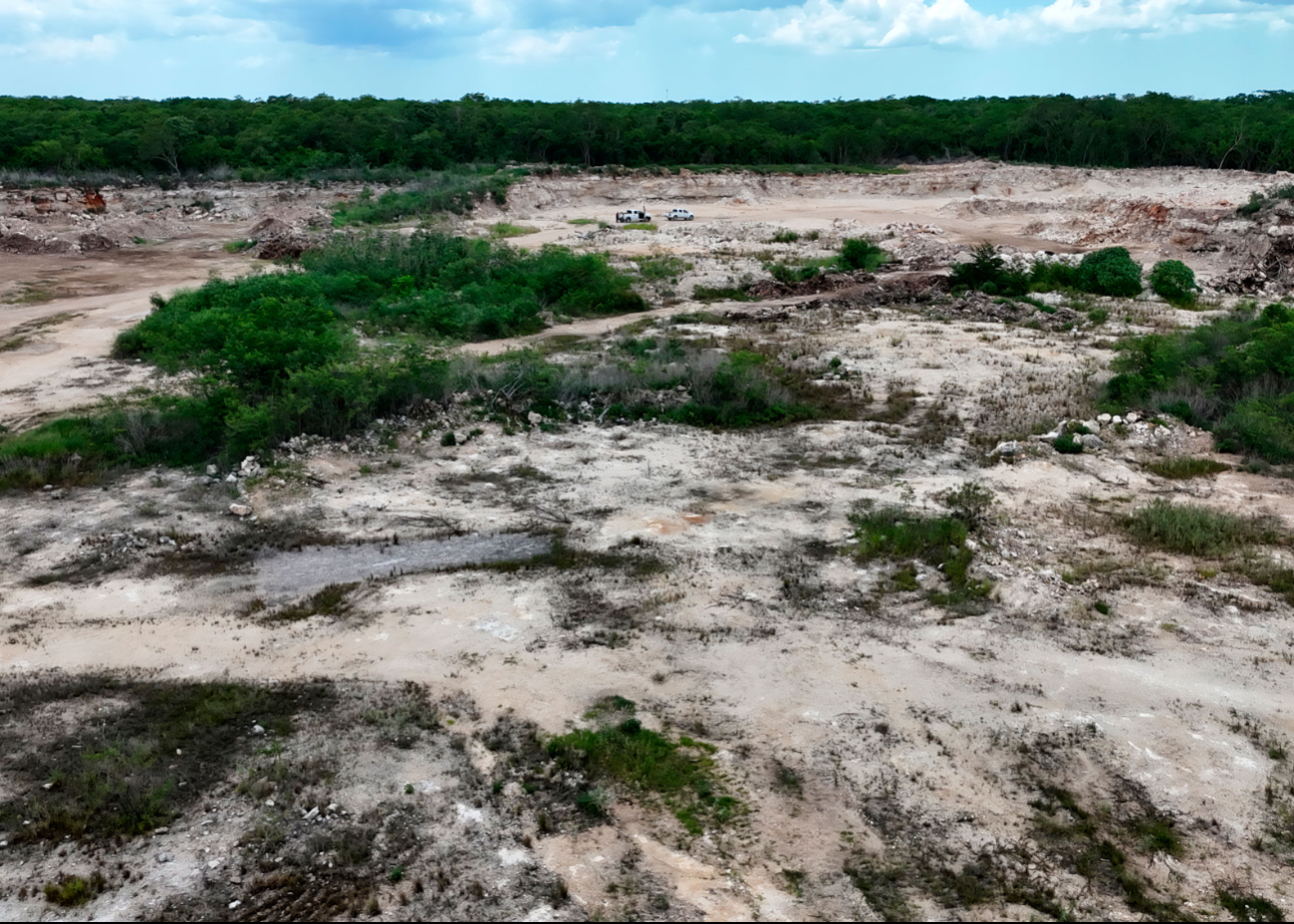La vegetación removida corresponde a un ecosistema de selva mediana caducifolia