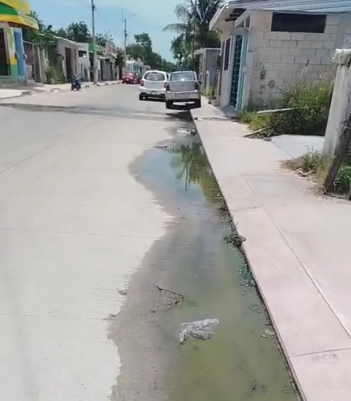 Reportan rebosamiento de aguas negras en fraccionamiento Centenario de Chetumal