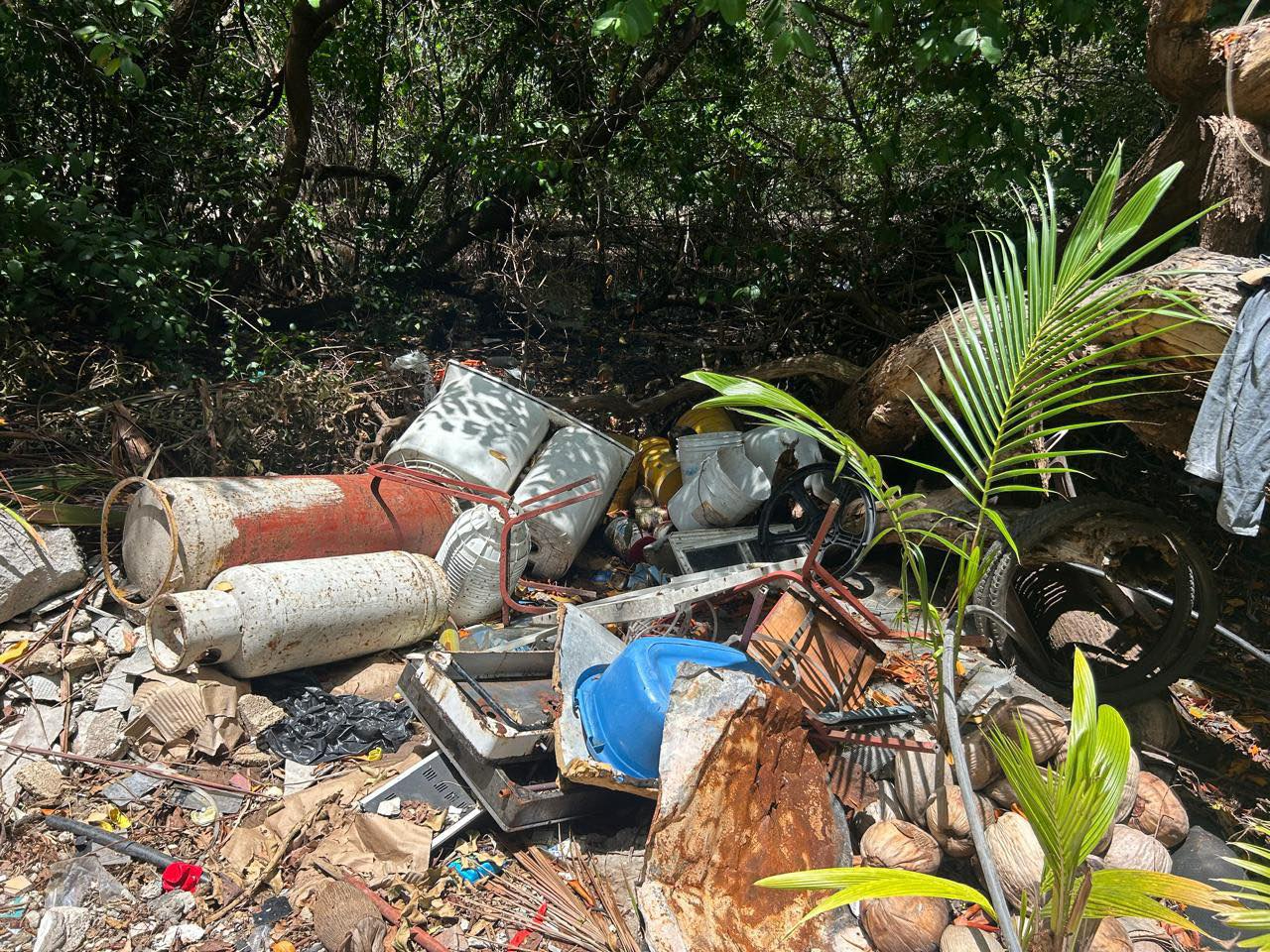 Ayuntamiento de Carmen despoja a Colectivo Isla Verde del Ecosendero La Caleta