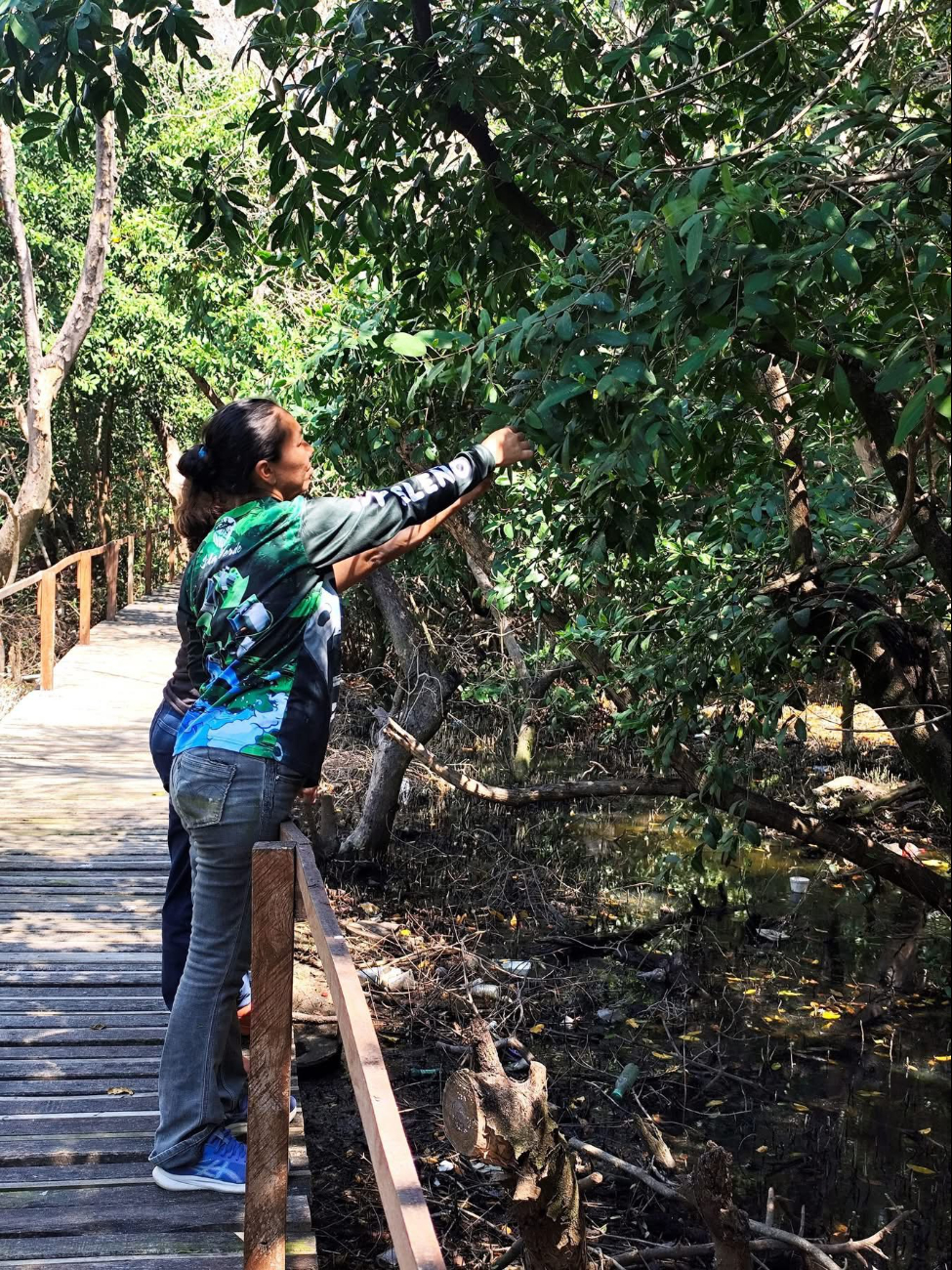 Colectivo Isla Verde acusa al Ayuntamiento de usar espacio ecológico como plataforma política