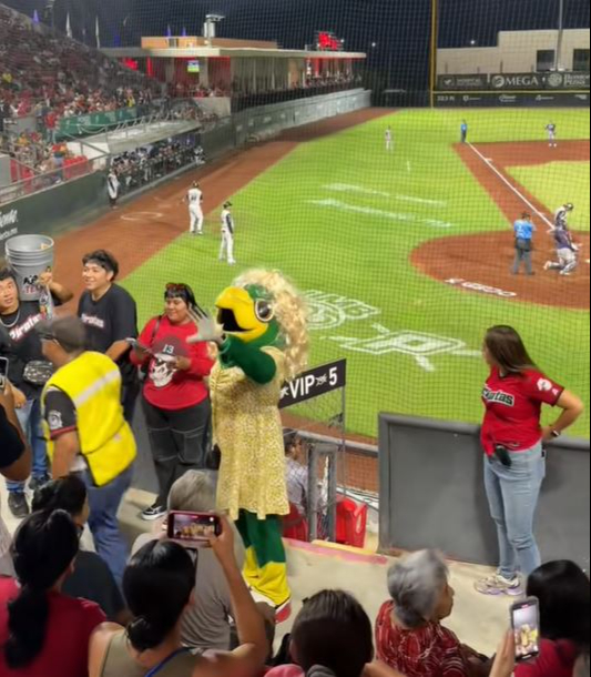 Mascota de Piratas de Campeche responde con humor a influencer polémica