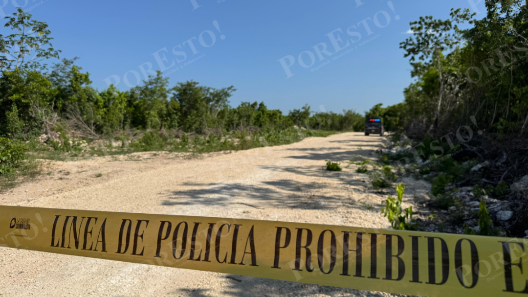 Hallazgo macabro en Cancún: Encuentran el torso de una mujer en área verde del fraccionamiento Prado Norte Hallazgo macabro en Cancún: Encuentran el torso de una mujer en área verde del fraccionamiento Prado Norte